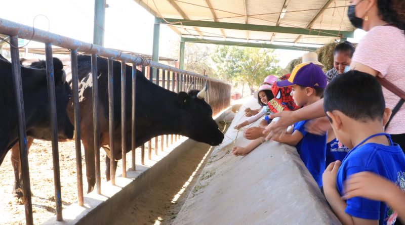 Promueve UABCS el conocimiento de los animales de granja mediante visitas guiadas a su Posta Zootécnica
