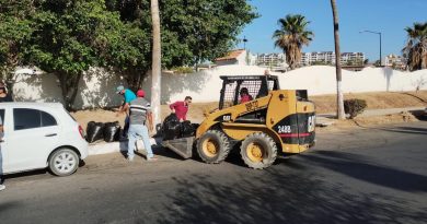 Atiende Servicios públicos de Los Cabos la limpieza de camellones de áreas que atendía la extinta FONATUR 