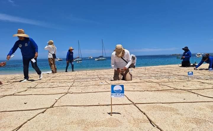 Busca Zofemat Los Cabos crear conciencia en el cuidado y protección de las playas para garantizar la sostenibilidad