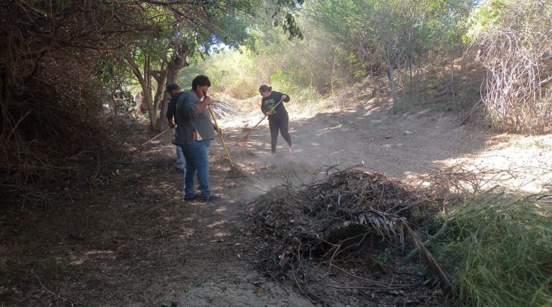 Trabajan en reacondicionar accesos de senderos y preservar el medio ambiente en el Estero de San José