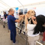 Hospital Veterinario de la UABCS cierra semestre con intensa actividad clínica y académica