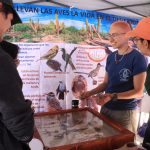 Invitan al 3er Festival de las Aves Playeras de La Paz en la UABCS