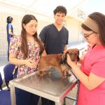 UABCS se suma a la Semana Nacional de Vacunación Antirrábica Canina y Felina 2026