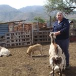 Impulsa SEPADA transformación del sector ganadero en BCS