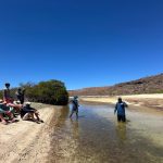 Participa académico de la UABCS en salida científica en el Parque Nacional Isla Espíritu Santo