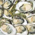 En abril inician periodos de veda y captura en 15 estados de la República