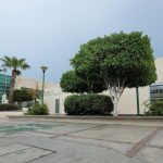 Realiza UMF No.34 y UMF No.40 jornadas de vasectomías sin bisturí: IMSS Baja California Sur