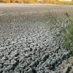 Invitan UABCS y SEPUIMM a participar en talleres para la elaboración del Programa Estatal de Cambio Climático de Baja California Sur