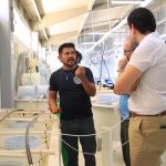 Proyecto de la UABCS fortalece la ostricultura en Baja California Sur
