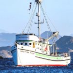 Proyecto de investigador de la UABCS es seleccionado para histórica expedición científica internacional en el Golfo de California
