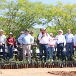 BCS se suma a Jornada Nacional de Reforestación para fortalecer la conservación ambiental