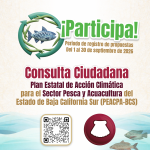 Convocan a consulta pública del Plan Estatal de Acción Climática para Pesca y Acuacultura de BCS