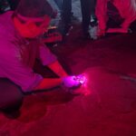 Recibe proyecto de investigación de la UABCS mención honorífica nacional por su contribución a la conservación de tortugas marinas
